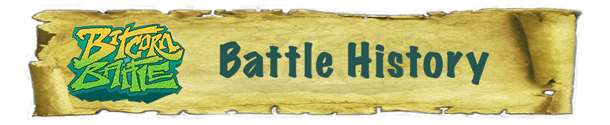 battle summary